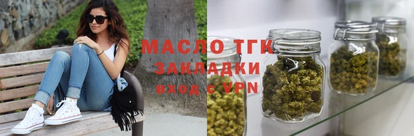 индика Абаза