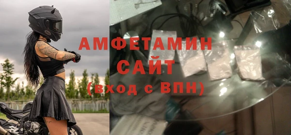 индика Абаза