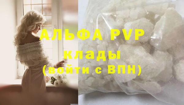 индика Абаза