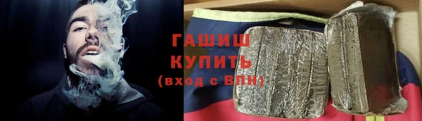 индика Абаза