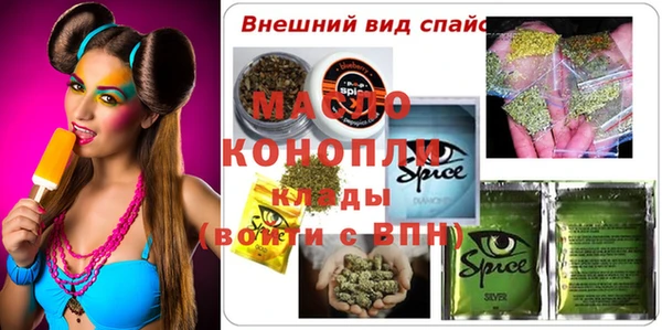 индика Абаза