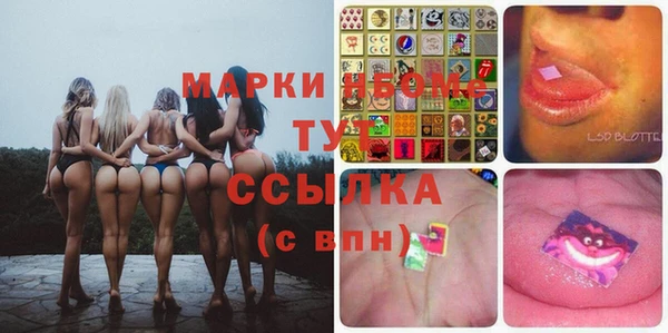 индика Абаза