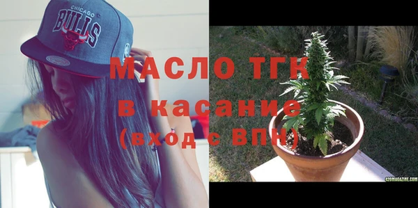 индика Абаза