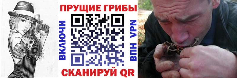 цена наркотик  Старый Крым  дарк нет Telegram  Псилоцибиновые грибы ЛСД 